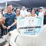 Gubernur Sulut Yulius Selvanus menyalurkan sapi kurban, Senin (25/5/2026).(Foto: dok. Diskominfo Sulut)