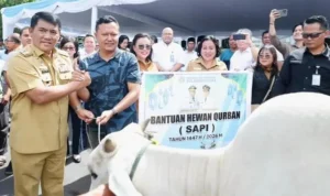 Gubernur Sulut Yulius Selvanus menyalurkan sapi kurban, Senin (25/5/2026).(Foto: dok. Diskominfo Sulut) Gubernur Sulut Yulius Selvanus menyalurkan sapi kurban, Senin (25/5/2026).(Foto: dok. Diskominfo Sulut)