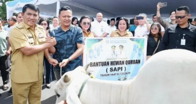 Gubernur Sulut Yulius Selvanus menyalurkan sapi kurban, Senin (25/5/2026).(Foto: dok. Diskominfo Sulut)