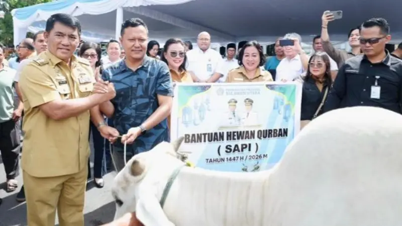 Gubernur Sulut Yulius Selvanus menyalurkan sapi kurban, Senin (25/5/2026).(Foto: dok. Diskominfo Sulut)