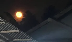 Fenomena Harvest moon bisa dilihat dengan kasat mata di langit Minahasa Utara.(foto: VivaSulut.id)