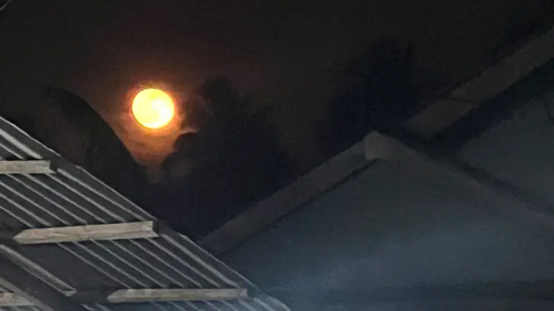 Fenomena Harvest moon bisa dilihat dengan kasat mata di langit Minahasa Utara.(foto: VivaSulut.id)
