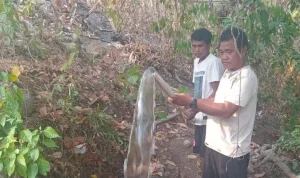 Masyarakat Desa Libas kini kembali bisa mengakses air bersih usai Pemkab Minut memperbaiki pipa penyaluran air warga yang rusak akibat kebakaran.(Foto: dok. Pemdes Libas)
