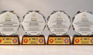 PT PLN (Persero) melalui PLN Nusantara Power dan PLN Indonesia Power meraih empat penghargaan ASEAN Energy Awards 2026 di Manila, Filipina. Penghargaan ini diraih melalui inovasi hidrogen hijau, gedung hemat energi, PLTS Terapung Cirata, serta integrasi biomassa dan smart energy management. Capaian ini memperkuat komitmen PLN Group dalam mendorong energi bersih dan transisi energi berkelanjutan.
